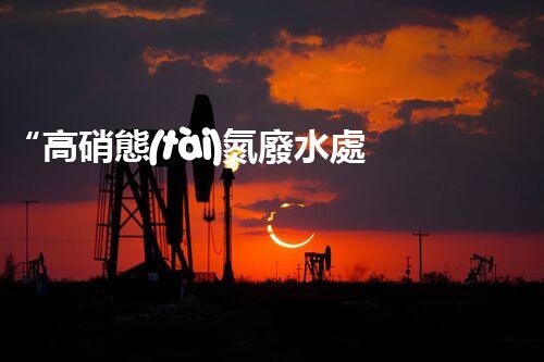 “高硝態(tài)氮廢水處理，綠色環(huán)保新篇章”